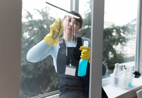 Nettoyage de vitres intérieures et extérieures à Saint-Lubin-en-Vergonnois